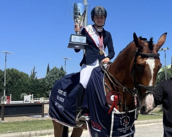 broodmare Djamila 69 (KWPN (Royal Dutch Sporthorse), 2016, from Dallas VDL Z)
