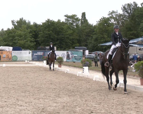 Reitturnier Heiligenwald 2025
