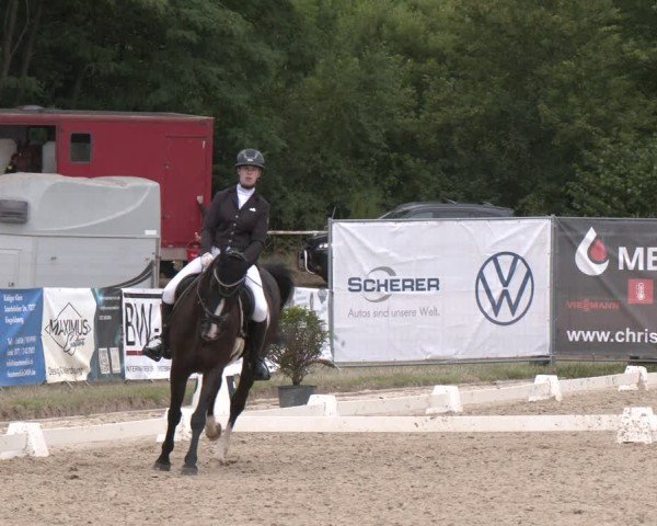 Reitturnier Heiligenwald 2025