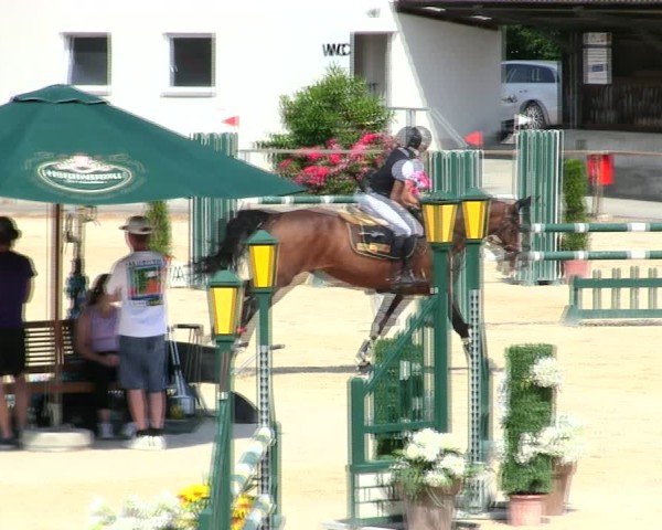 Reitturnier Ingolstadt-Hagau/Obb. 2025