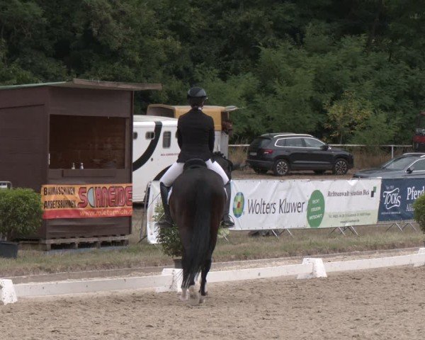 Reitturnier Heiligenwald 2025