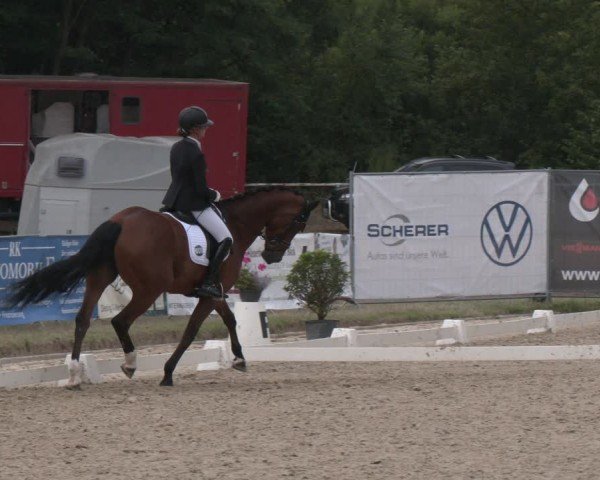 Reitturnier Heiligenwald 2025