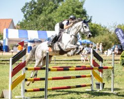 jumper Campina (Westphalian, 2013, from Cordess 2)