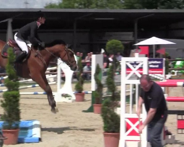 Großes Reit- und Springturnier Kirchhellen/Stall Dieckmann 2014