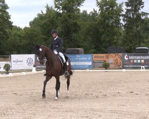 Reitturnier Heiligenwald 2025