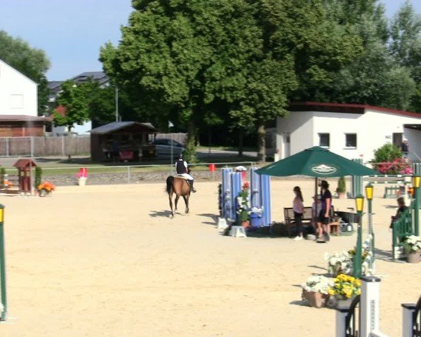 Reitturnier Ingolstadt-Hagau/Obb. 2025