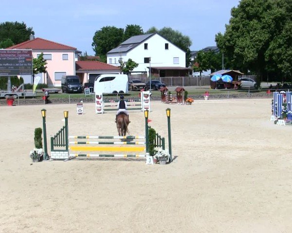 Reitturnier Ingolstadt-Hagau/Obb. 2025