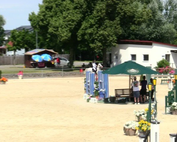 Reitturnier Ingolstadt-Hagau/Obb. 2025