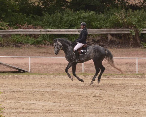 Reitturnier Heiligenwald 2025
