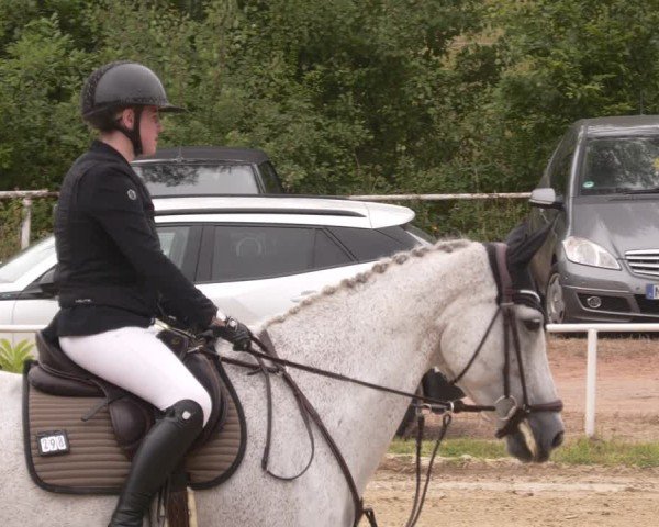 Reitturnier Heiligenwald 2025