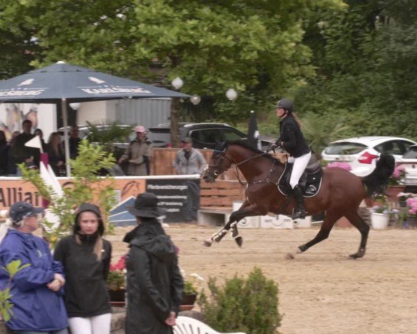 Reitturnier Heiligenwald 2025