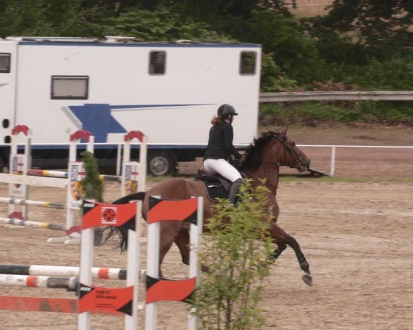Reitturnier Heiligenwald 2025