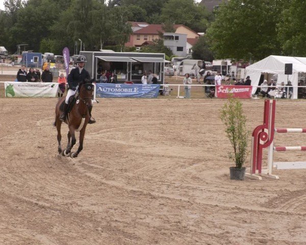 Reitturnier Heiligenwald 2025
