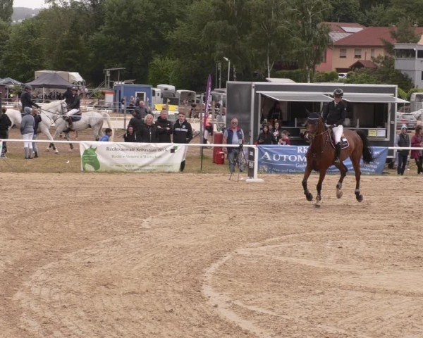 Reitturnier Heiligenwald 2025