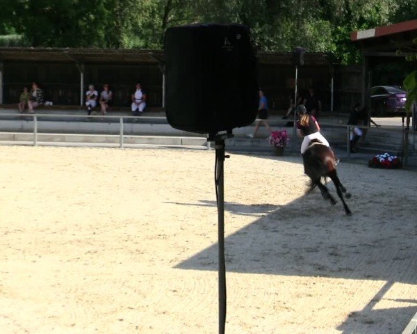 Reitturnier Ingolstadt-Hagau/Obb. 2025