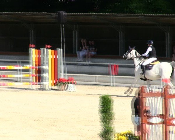 Reitturnier Ingolstadt-Hagau/Obb. 2025