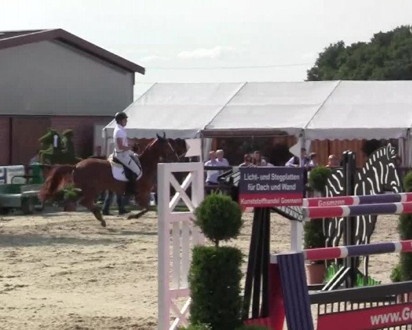 Großes Reit- und Springturnier Kirchhellen/Stall Dieckmann 2014