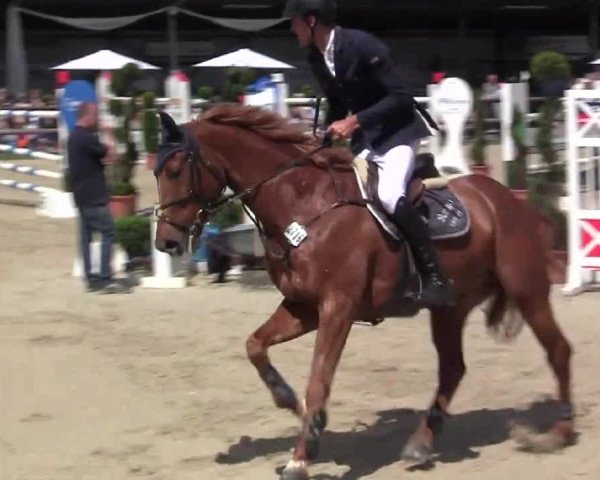 Großes Reit- und Springturnier Kirchhellen/Stall Dieckmann 2014