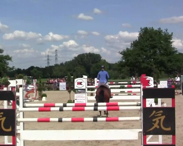 Großes Reit- und Springturnier Kirchhellen/Stall Dieckmann 2014