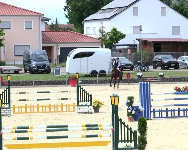 Reitturnier Ingolstadt-Hagau/Obb. 2025