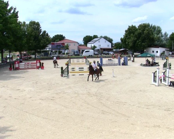 Reitturnier Ingolstadt-Hagau/Obb. 2025