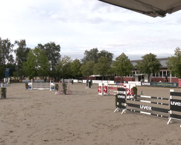 Reitturnier Münster-Roxel 2025