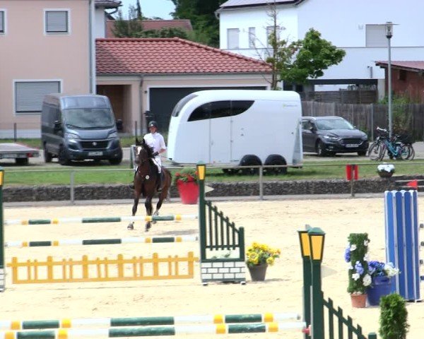 Reitturnier Ingolstadt-Hagau/Obb. 2025