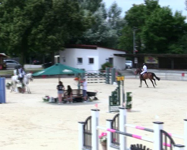 Reitturnier Ingolstadt-Hagau/Obb. 2025