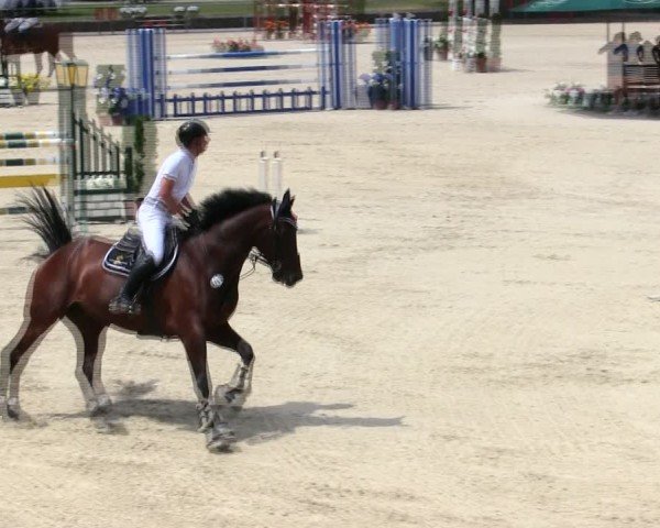 Reitturnier Ingolstadt-Hagau/Obb. 2025