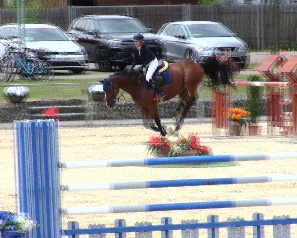 Reitturnier Ingolstadt-Hagau/Obb. 2025