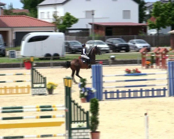 Reitturnier Ingolstadt-Hagau/Obb. 2025