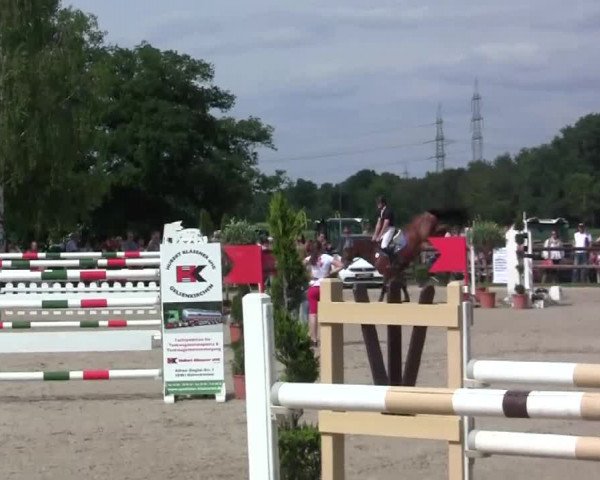 Großes Reit- und Springturnier Kirchhellen/Stall Dieckmann 2014