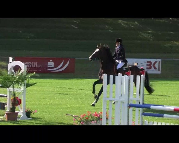 Sommerturnier Legelshurst 2014