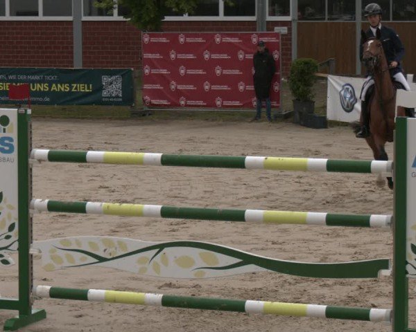 Reitturnier Münster-Roxel 2025