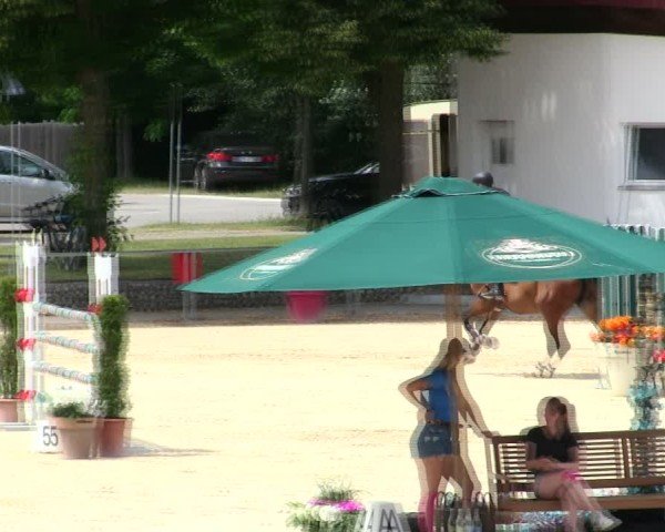 Reitturnier Ingolstadt-Hagau/Obb. 2025
