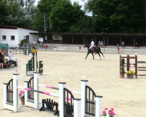 Reitturnier Ingolstadt-Hagau/Obb. 2025