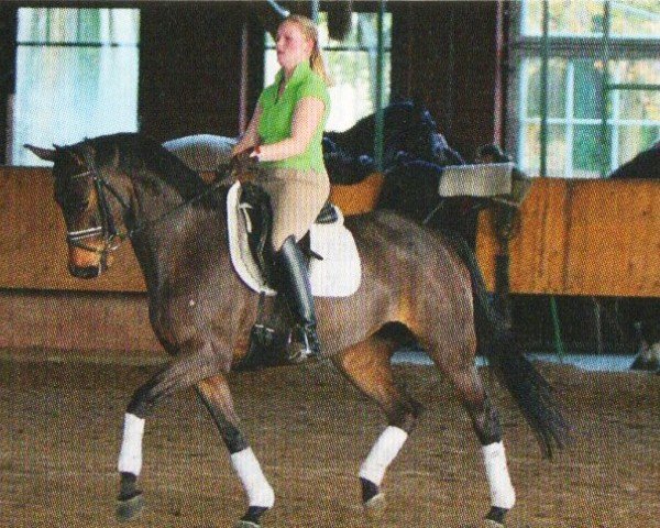 horse Fair Fontane (Trakehner, 2005, from Guter Planet)