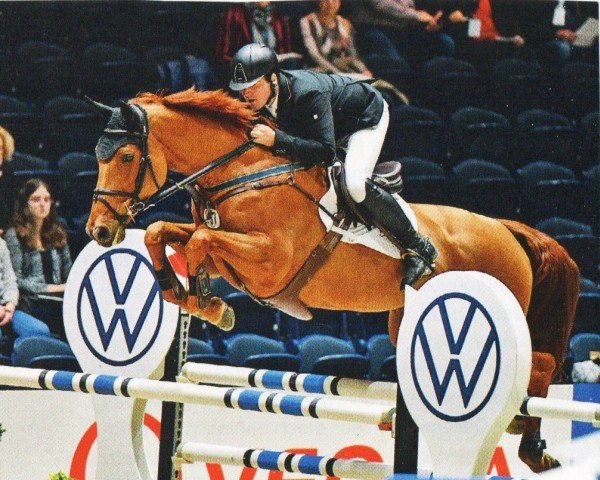 broodmare DSP Catherina H (German Sport Horse, 2009, from Chacco-Blue)