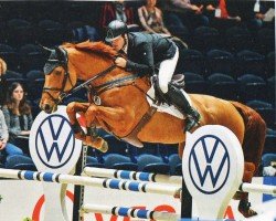 Zuchtstute DSP Catherina H (Deutsches Sportpferd, 2009, von Chacco-Blue)