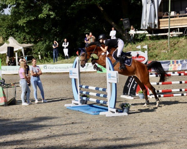 jumper High Proof F (Hanoverian, 2021)