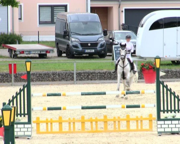 Reitturnier Ingolstadt-Hagau/Obb. 2025