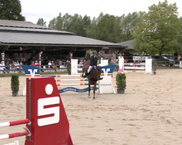 Reitturnier Münster-Roxel 2025