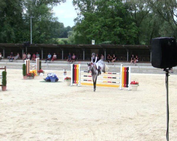 Reitturnier Ingolstadt-Hagau/Obb. 2025