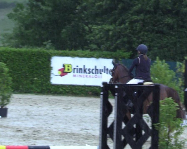 Reitturnier Lindlar-Süttenbach 2025