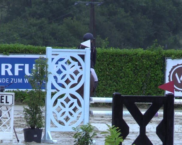 Reitturnier Lindlar-Süttenbach 2025
