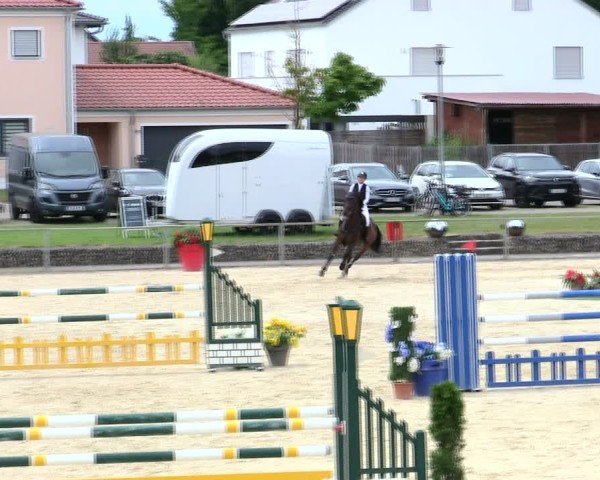 Reitturnier Ingolstadt-Hagau/Obb. 2025
