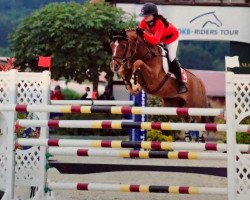 stallion Arts Deilo (German Riding Pony, 2000, from Arts Deilahro)