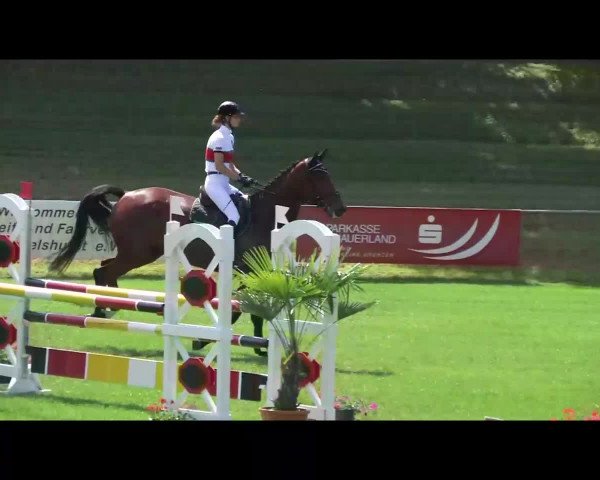 Sommerturnier Legelshurst 2014