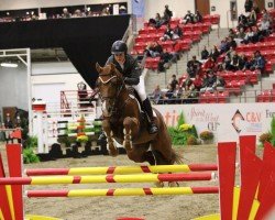 jumper Carousel's Bling (Canadian Warmblood, 2006, from Bratt Z)