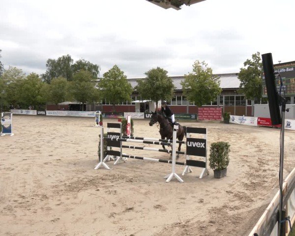 Reitturnier Münster-Roxel 2025